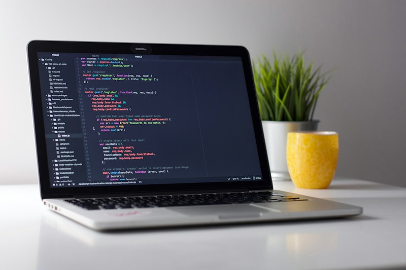 B.Sc. Information Technology